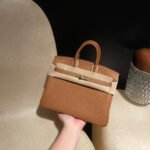 HERMES Birkin25 Color37 Togo leather