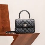 CHANEL 24C Handle Bag