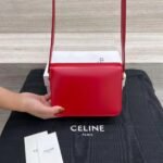 CELINE TEEN TRIOMPHE Bag