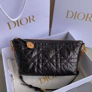 DIOR oil wax leather star bag