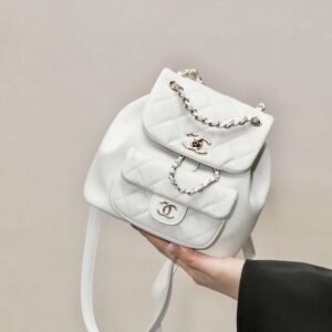 CHANEL duma backpack