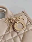 DIOR 2024 NEW BOOK TOTE BAG