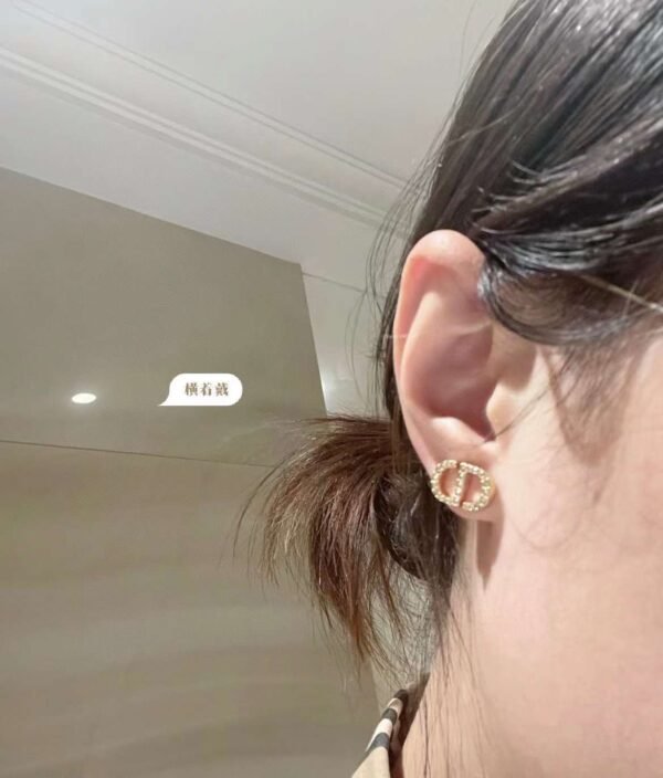 DIOR LOGO STUD EARRINGS